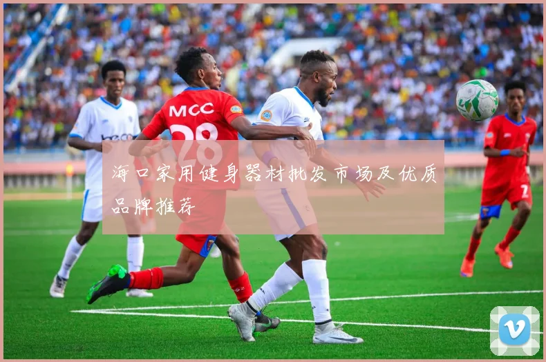 海口家用健身器材批发市场及优质品牌推荐
