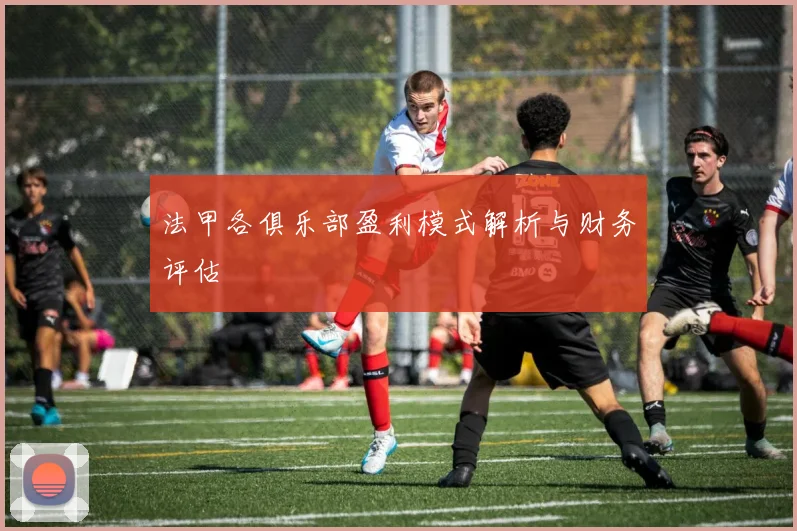 法甲各俱乐部盈利模式解析与财务评估