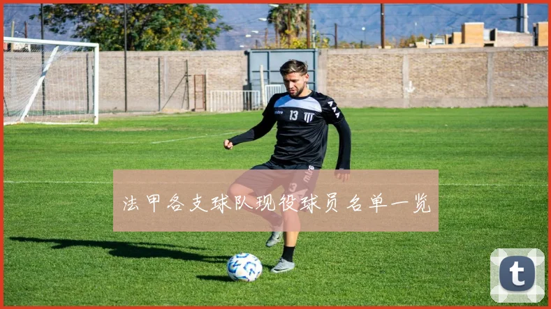 法甲各支球队现役球员名单一览