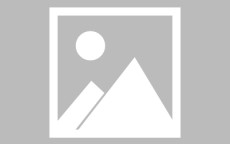 球盟会官网-世俱杯球员伤病情况实时更新保障科学管理